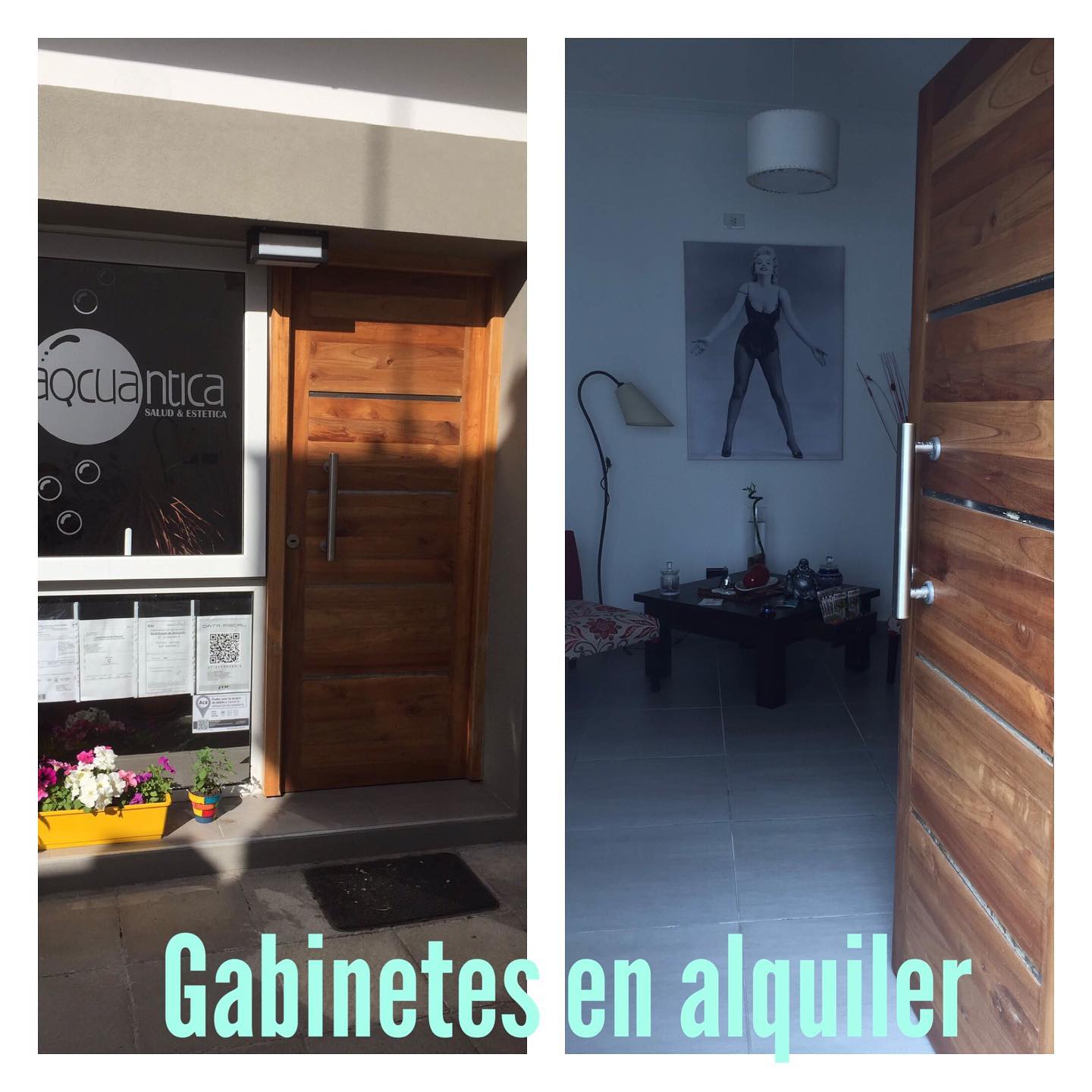 El frente de Aqcuantica al sol: el vidrio con el logo, la puerta de madera y un cantero con flores